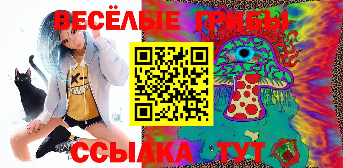 Псилоцибиновые грибы мицелий  Вход с VPN  Улан-Удэ 